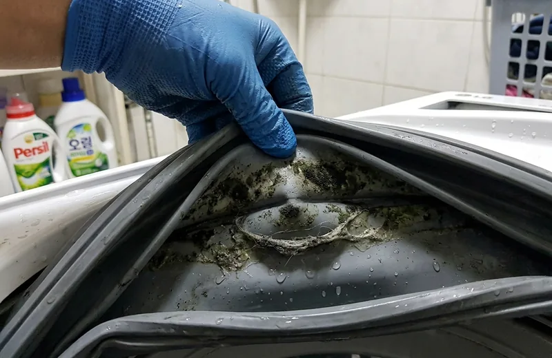 드럼세탁기 도어 고무 패킹 내부의 오염과 물때